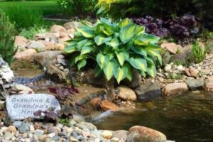 Stewartscape water 3