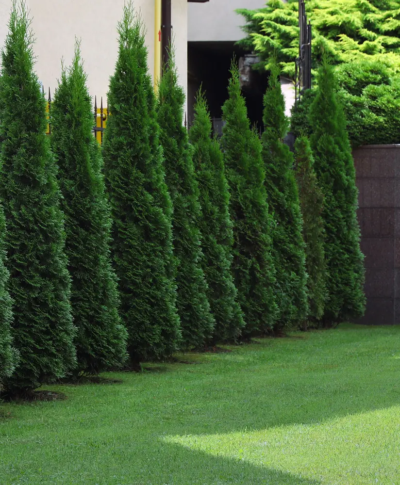 GettyImages 1911053194