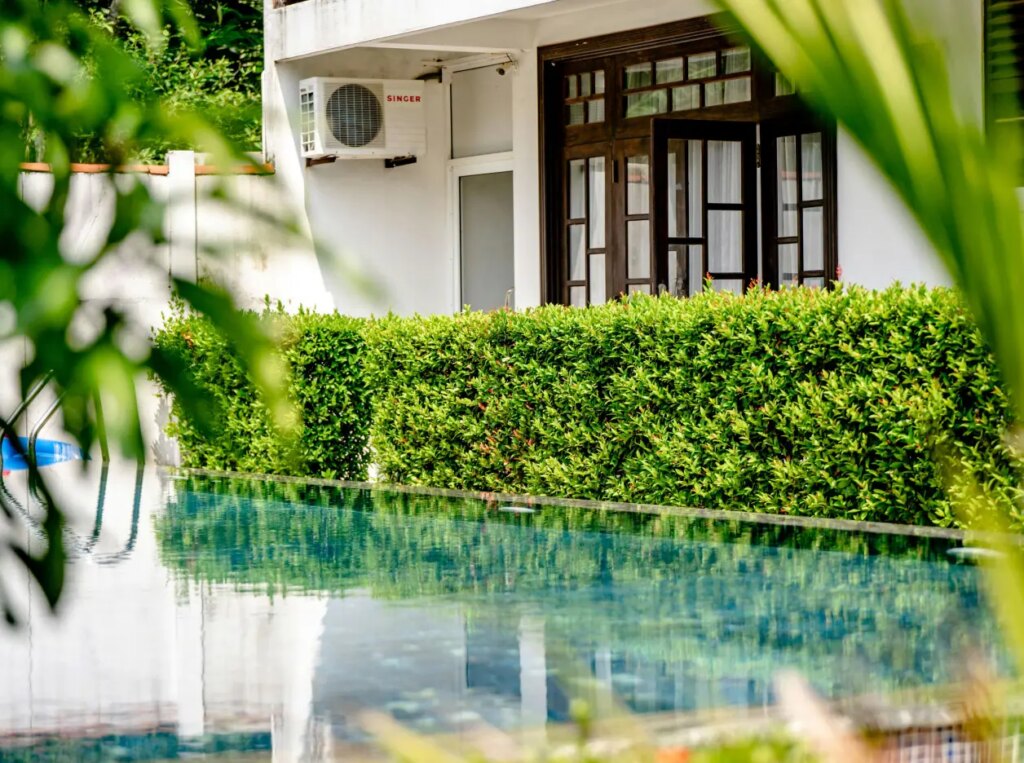 pexels freestockpro 11266724