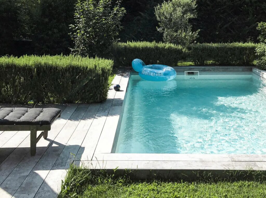 pexels vince 2876789