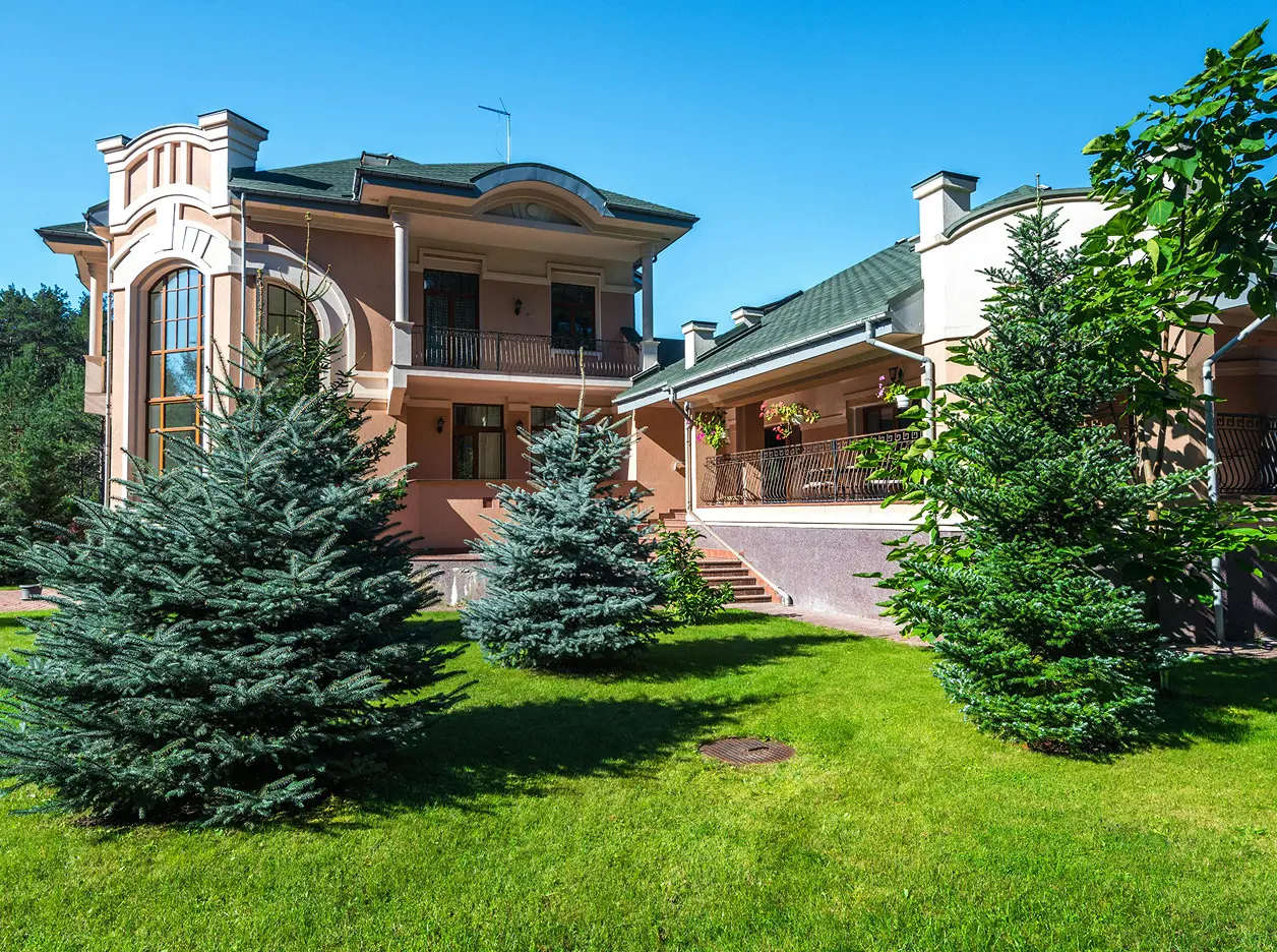 pexels heyho 8082319