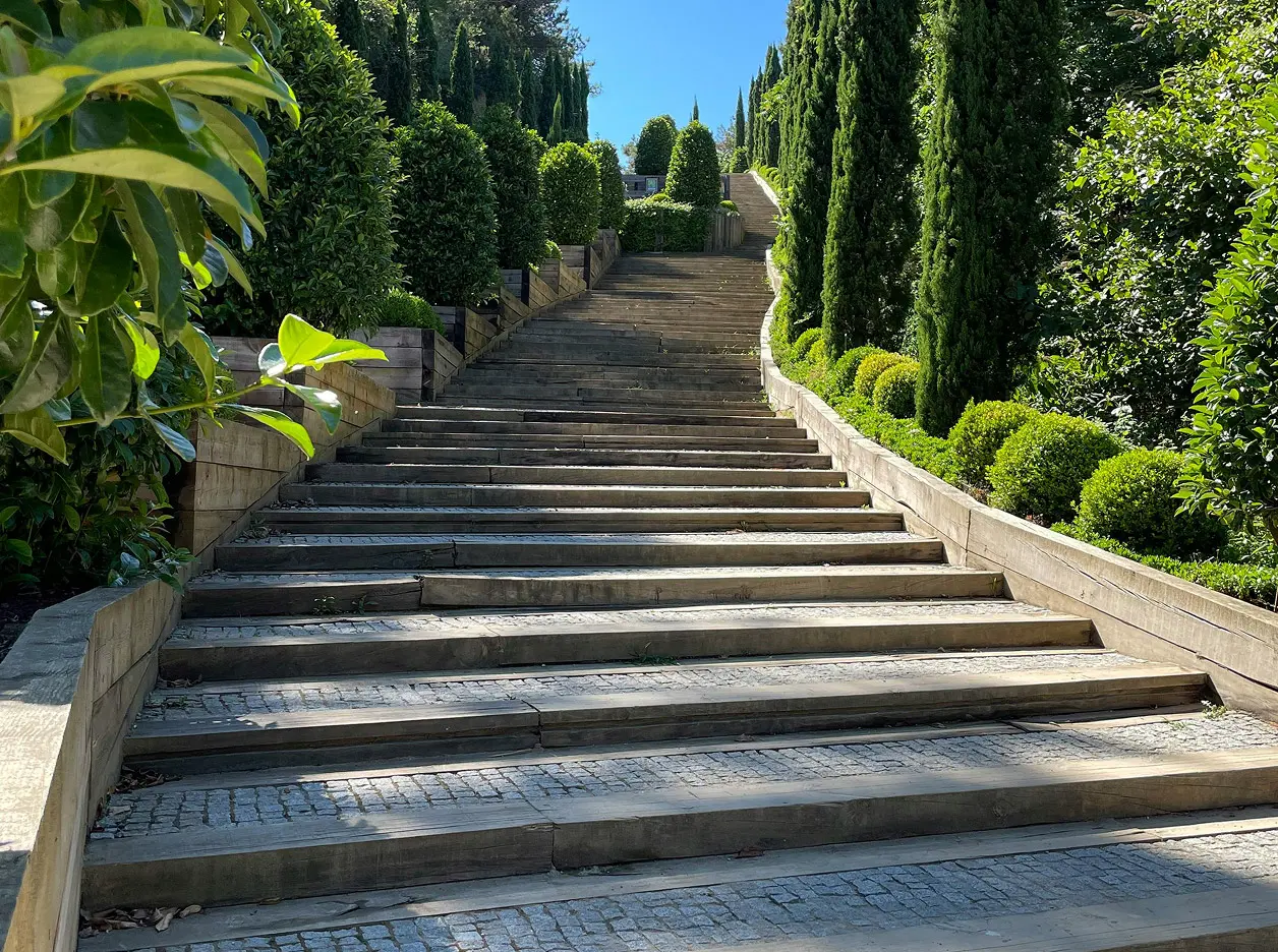 pexels zeynep gokmen 1248961859 23409103